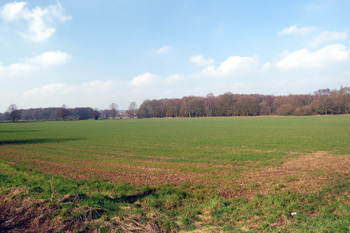 Looking from Greenfield towards Greenfield Road Flitwick March 2011